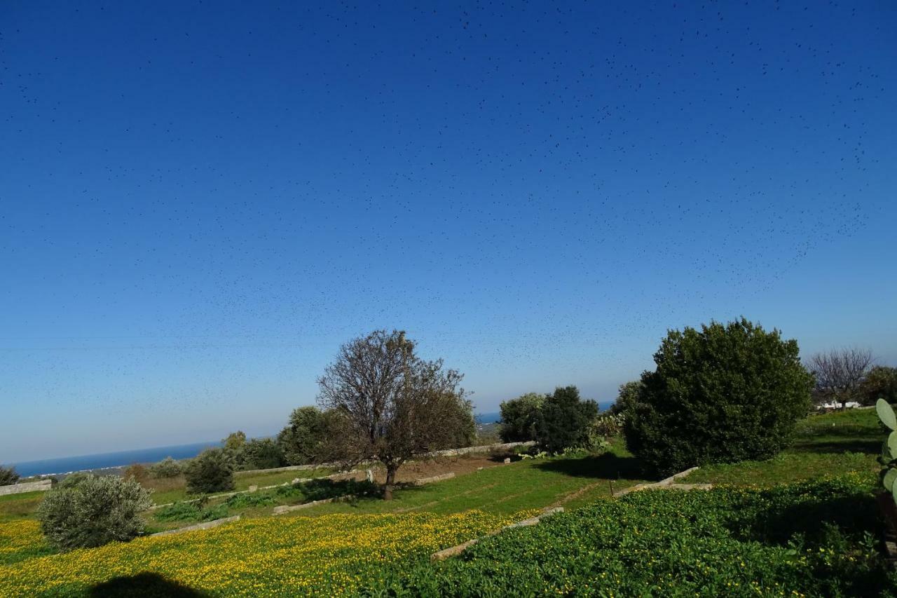 Villa Il Fico d'India dell'Antico orto Ostuni Esterno foto