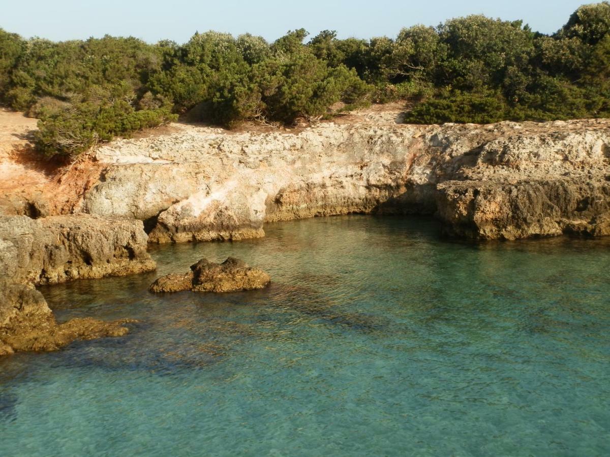 Villa Il Fico d'India dell'Antico orto Ostuni Esterno foto