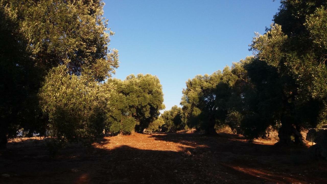 Villa Il Fico d'India dell'Antico orto Ostuni Esterno foto